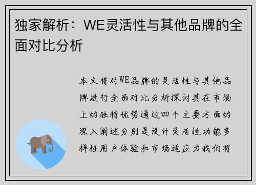 独家解析：WE灵活性与其他品牌的全面对比分析
